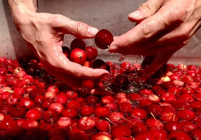 Gallery 1