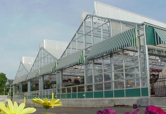 Gallery 1