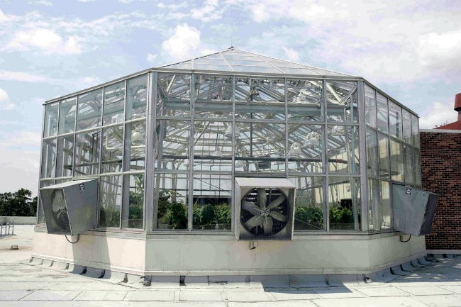 Gallery 4